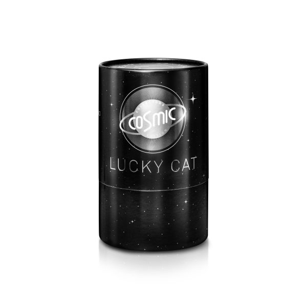Lucky Cat Cosmic Edition Mercury Shiny Silver Mode – Bild 3